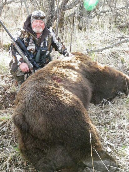Alaska Brown Bear