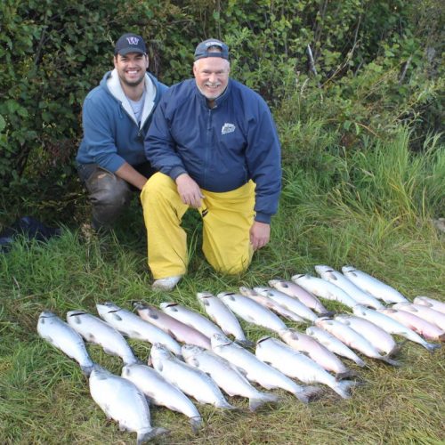 Alaska Silver Salmon