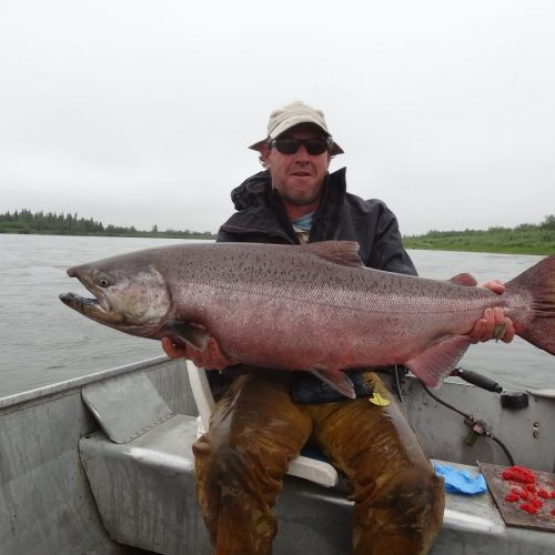Alaska King Salmon