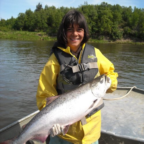 Alaska King Salmon