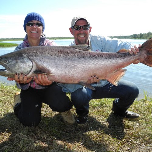 Alaska King Salmon