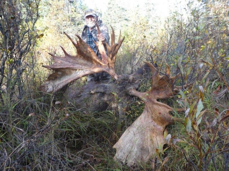 Alaska Moose Hunt