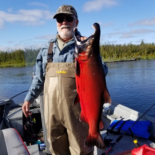 Alaska Silver Salmon