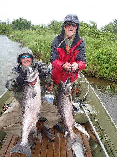 Alaska King Salmon