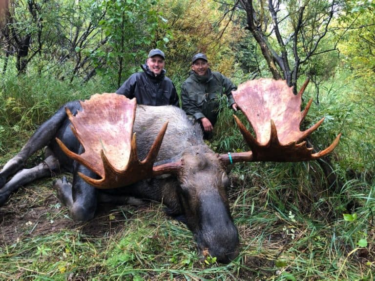 Alaska Moose Hunt