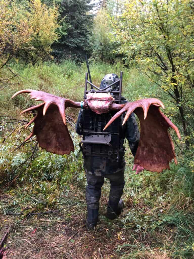 Alaska Moose Hunt